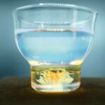sake glass01